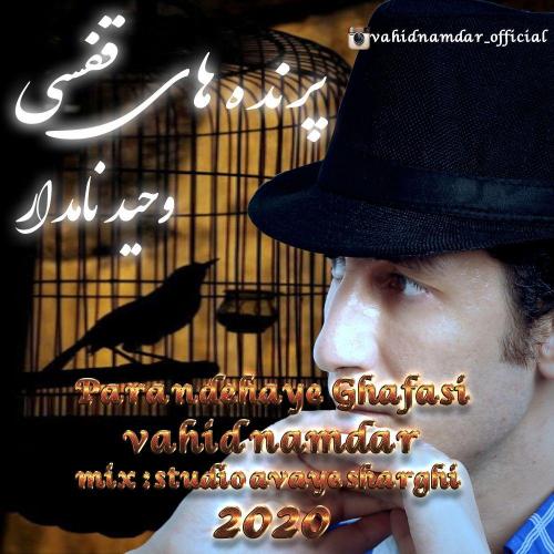 وحید نامدار پرنده های قفسی